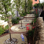 Planting | Landscape Design in York