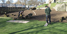 York Turfing